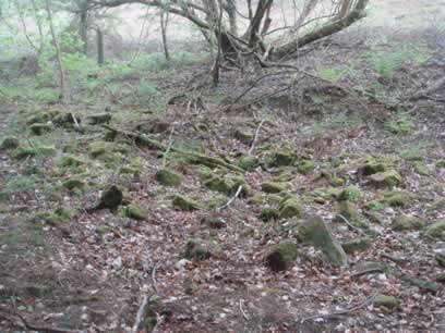 Remains of Waldershelf  in 2009. Copyright David Tonks.